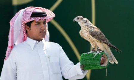 182 صقرًا يتنافسون في سابع أيام “كأس نادي الصقور السعودي”