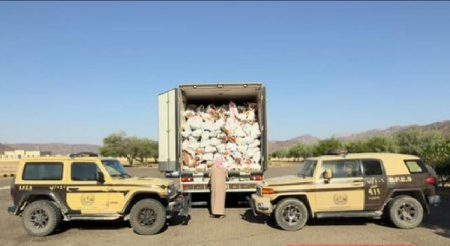 «الأمن البيئي» تضبط مواطنًا لنقله حطبًا محليًا في منطقة المدينة المنورة