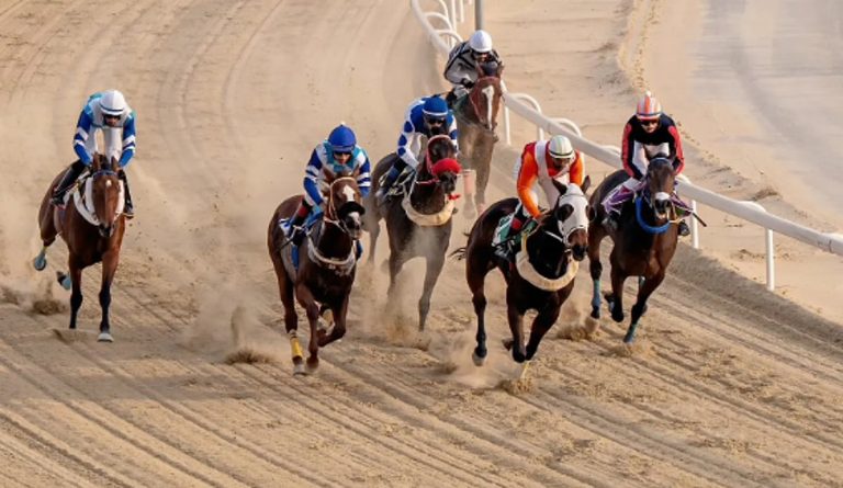 ميدان فروسية الجبيل يقيم حفل سباقه الثالث للموسم الحالي 1447هـ