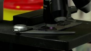 دراسة: معظم الناس يثقون في الأطباء أكثر من الذكاء الاصطناعي