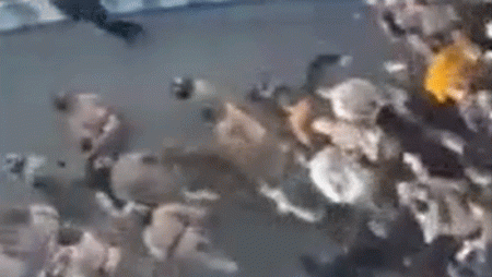 ترامب يتناول احتجاجات إيران في ظل انهيار اقتصادي وأزمة عملة.