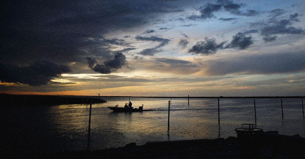 اعتقال أفراد لصالح دائرة الهجرة والجمارك الأمريكية (ICE) من قبل إدارة الحياة البرية والصيد في لويزيانا.