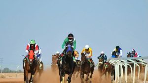 ميدان فروسية حائل ينظم اليوم حفل سباقه السابع