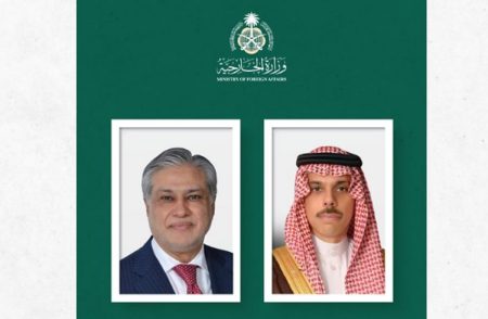 وزير الخارجية يبحث آخر المستجدات الإقليمية والدولية مع نظيره الباكستاني