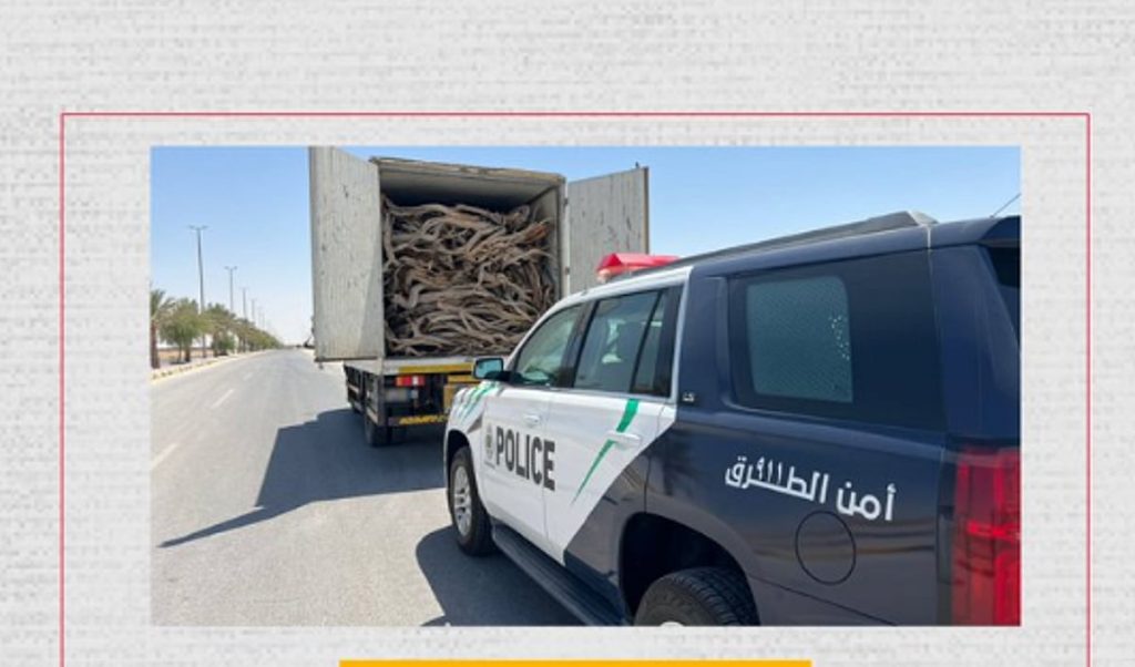 القوة الخاصة لأمن الطرق بالمنطقة الشرقية تضبط مخالفاً لنظام البيئة