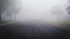 الأرصاد: ضباب بـ 3 مناطق حتى صباح الخميس