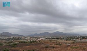 محايل عسير.. طبيعة خلابة وأجواء شتوية تجذب الزوار