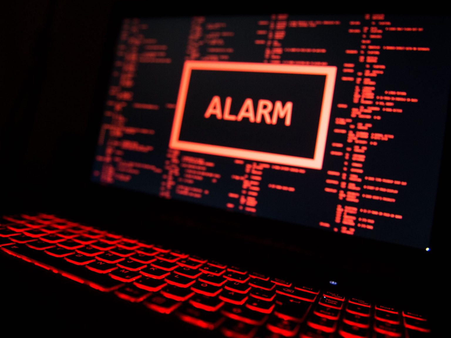 الهجمات الإلكترونية عام 2025 الأخطر والأكثر تكلفة في أوروبا