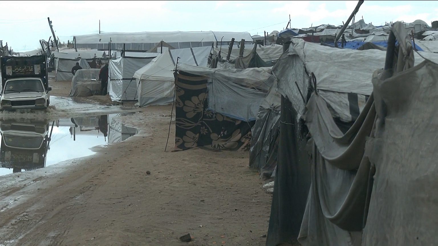 بعد فحص العينات.. صحة غزة تنفي تسجيل حالات إصابة بـ”داء البريميات” | صحة