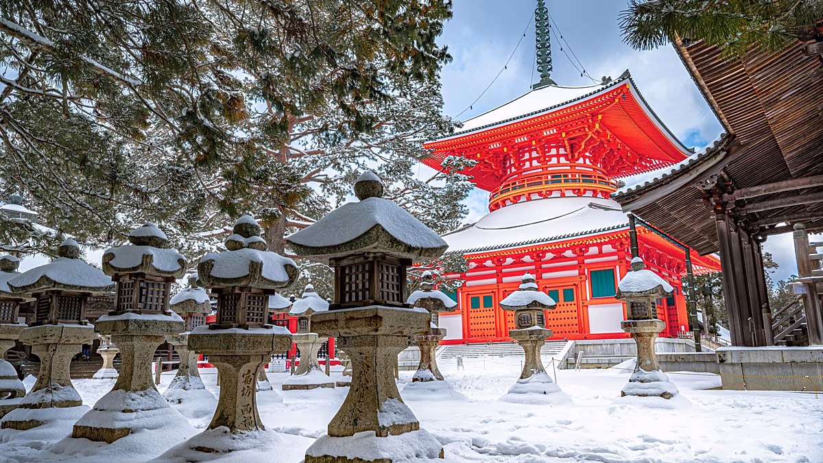 قطار سياحي فخيم جديد يربط أوساكا بجبل كويا المدرج في قائمة اليونسكو يبدأ العمل في أبريل