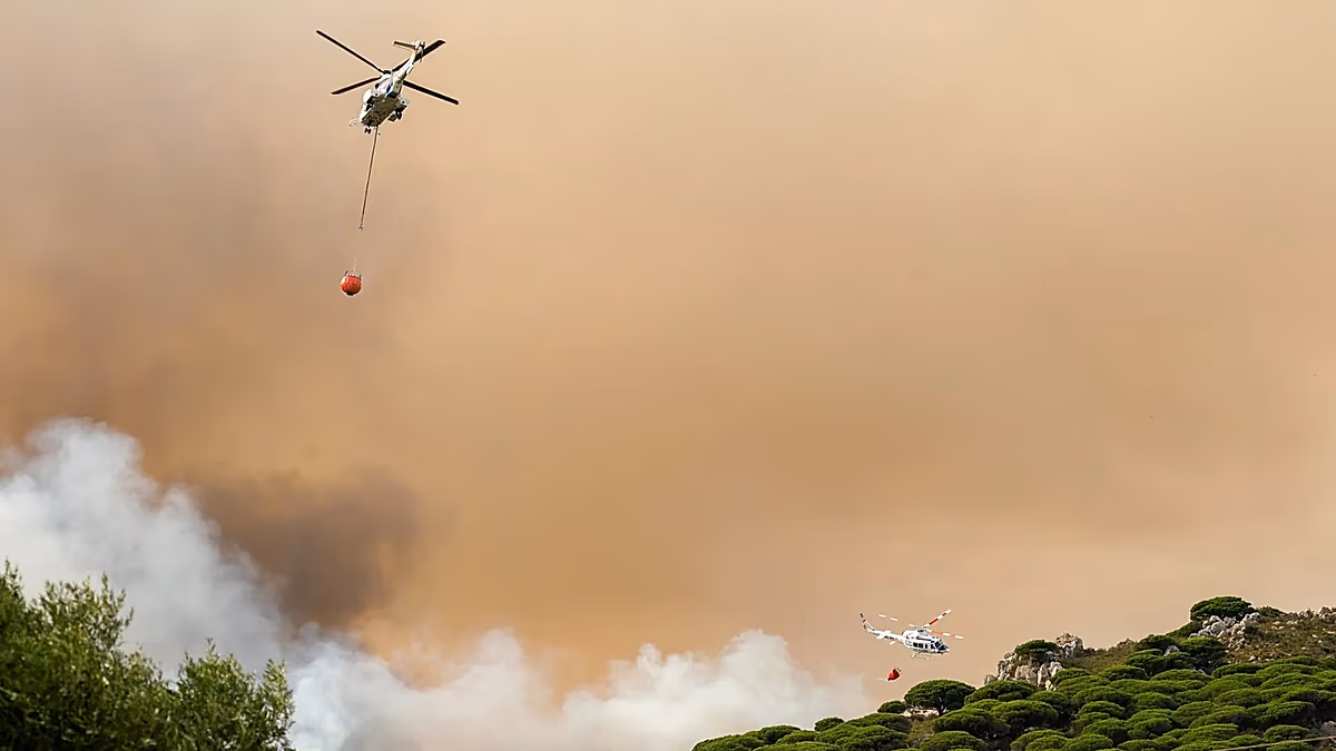 دراسة جديدة: العمل المناخي أرخص تأمين للعالم