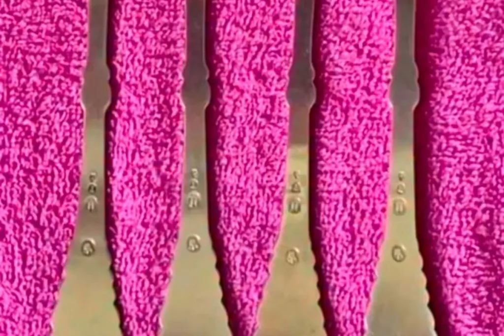 وهم بصري محير يثير جدلاً