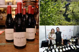 شركات نبيذ كاليفورنيا الكبرى تغلق مواقعها وتلغي وظائف وسط اضطرابات في وادي نابا