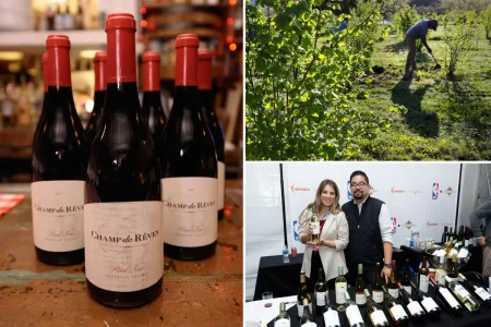 شركات نبيذ كاليفورنيا الكبرى تغلق مواقعها وتلغي وظائف وسط اضطرابات في وادي نابا