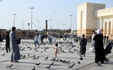 شتاء المدينة المنورة: أجواء روحانية وتجارب سياحية لا تُنسى