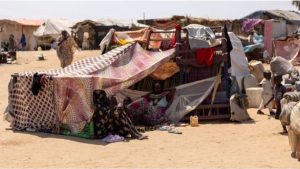 تحذيرات دولية من أزمة جوع تهدد نازحي الأبيض في السودان