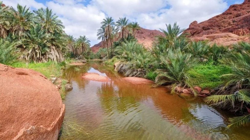 حائل ليست وجهة صيفية فقط أكثر من 600 حديقة وممشى