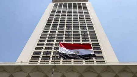 الخارجية المصرية تدين تهديدات تستهدف أمن المملكة