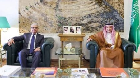 نائب وزير الخارجية يثمن جهود السفير المصري في توثيق العلاقات الثنائية