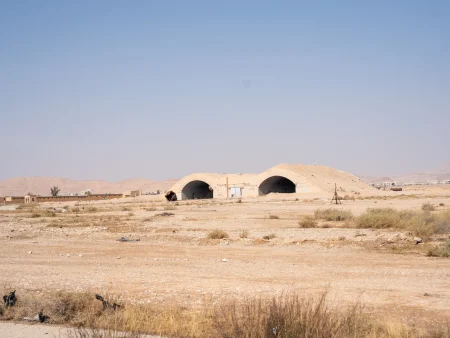 تحويل مطار تدمر العسكري إلى مدني ضمن خطة سياحية حكومية
